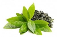 Visit Soagris Sahambavy website